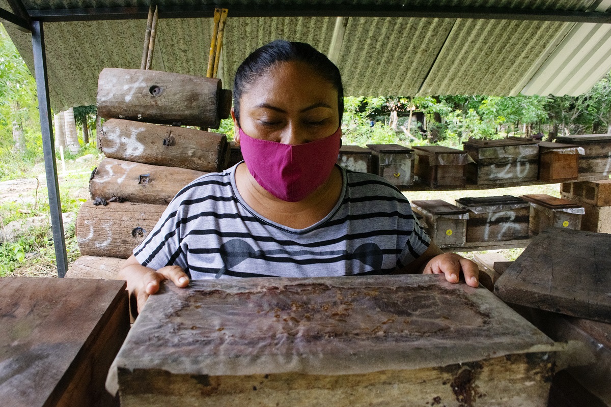 Reserva de Cuxtal, un paraíso verde lleno de productores y artesanos 